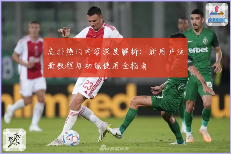 虎扑热门内容深度解析：新用户注册教程与功能使用全指南