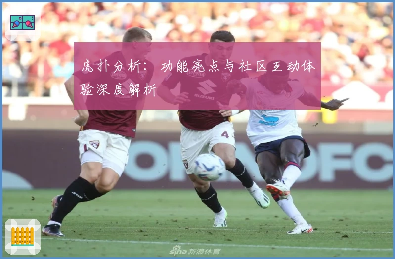 虎扑分析:功能亮点与社区互动体验深度解析