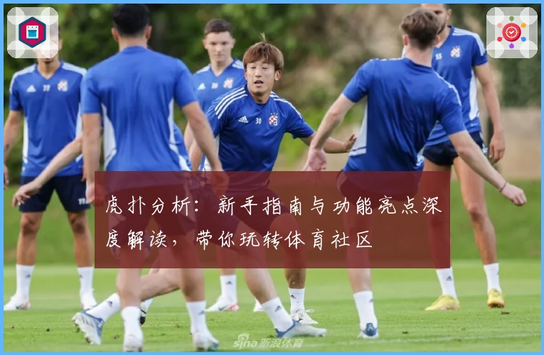 虎扑分析：新手指南与功能亮点深度解读，带你玩转体育社区