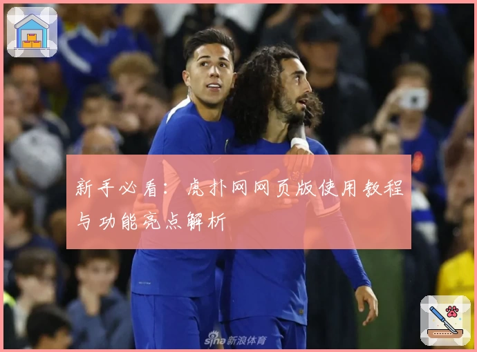 新手必看：虎扑网网页版使用教程与功能亮点解析