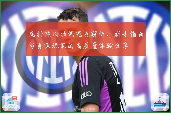 虎扑热门功能亮点解析：新手指南与资深玩家的高质量体验分享